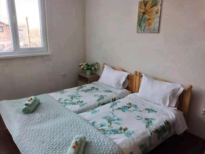 Holiday Guest House Kemo Saparewa Banja Exterior foto